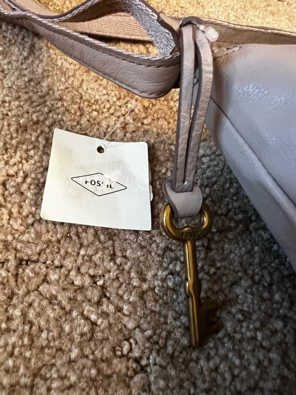 Fossil Light Taupe Crossbody Bag - Picture 16 of 16
